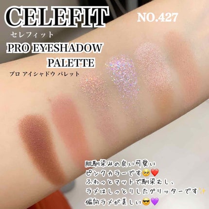 プロアイシャドウパレットセシル/CELEFIT/アイシャドウパレットを使ったクチコミ(2枚目)