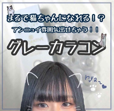 #アンニュイ#猫ちゃん#グレーカラコン#ワンデー#デコラティブアイズワンデーUVM#no7#loveMWay


今回ご紹介するのは、オススメのグレーのカラーコンタクトレンズです！！

このカラーコンタ