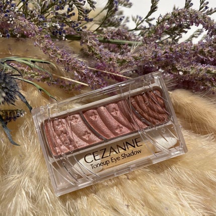 トーンアップアイシャドウ/CEZANNE/アイシャドウパレットを使ったクチコミ(5枚目)