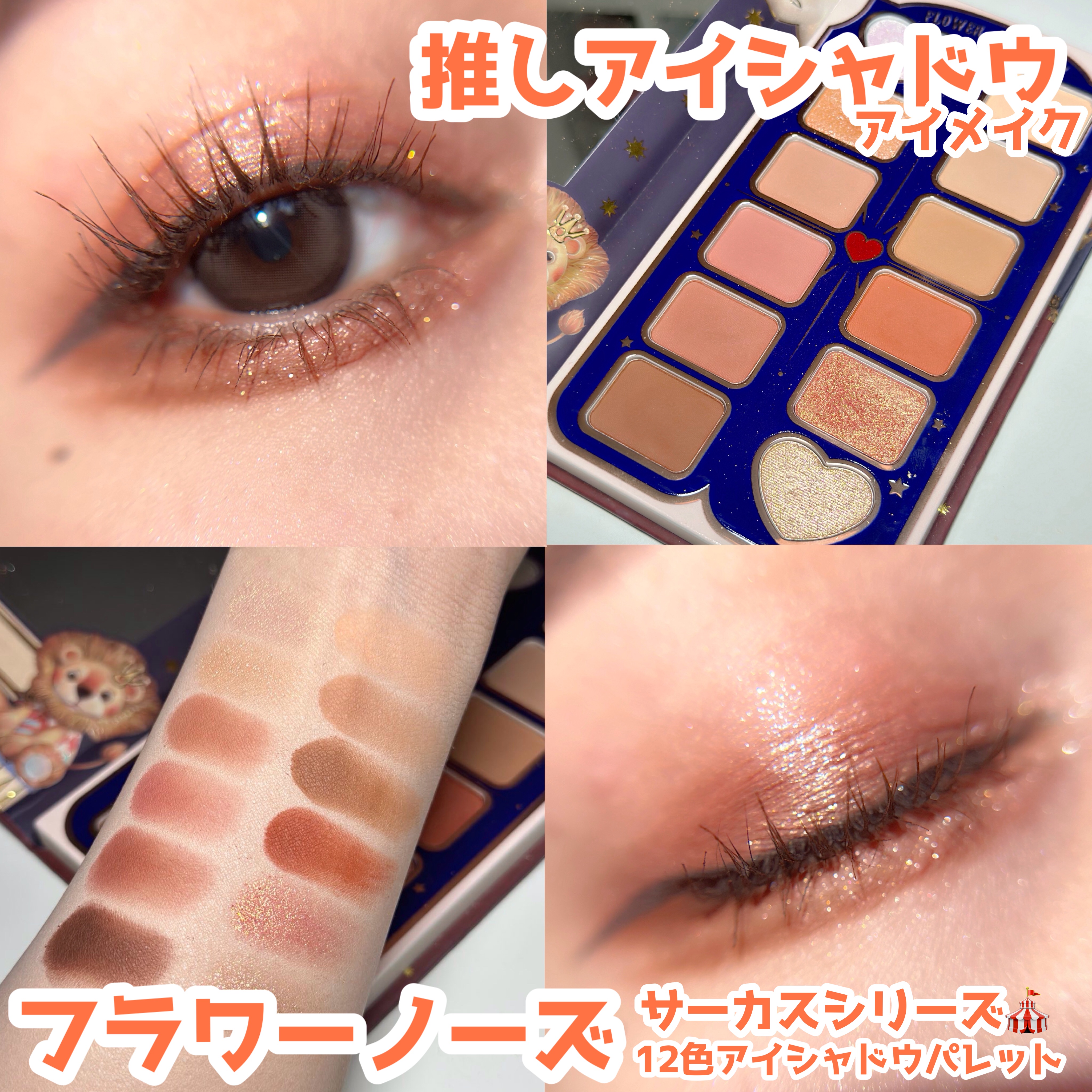 サーカスシリーズ12色アイシャドウパレット   01 Gorgeous Adventure/FlowerKnows/アイシャドウパレットを使ったクチコミ（1枚目）