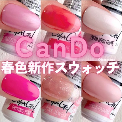 パル カラージェル/キャンドゥ/ジェルネイルを使ったクチコミ(1枚目)