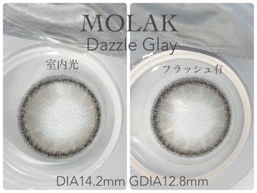 MOLAK 1day ダズルグレー/MOLAK/ワンデー（１DAY）カラコンを使ったクチコミ（2枚目）