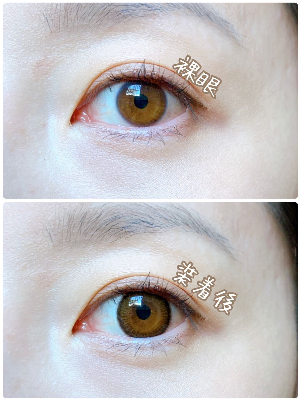 エバーカラーワンデー ナチュラル アプリコットブラウン/エバーカラー/ワンデー（１DAY）カラコンを使ったクチコミ（2枚目）