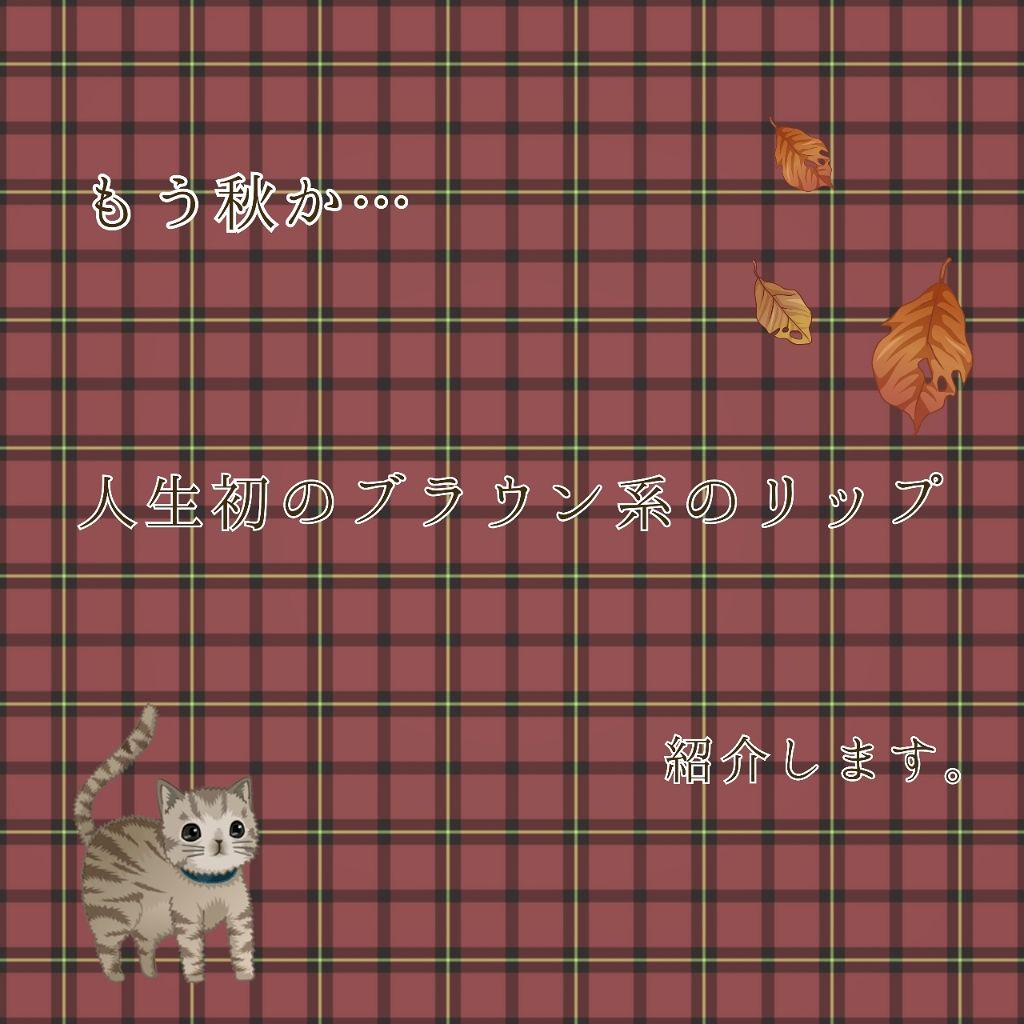 リップスティック Y/ちふれ/口紅を使ったクチコミ(1枚目)