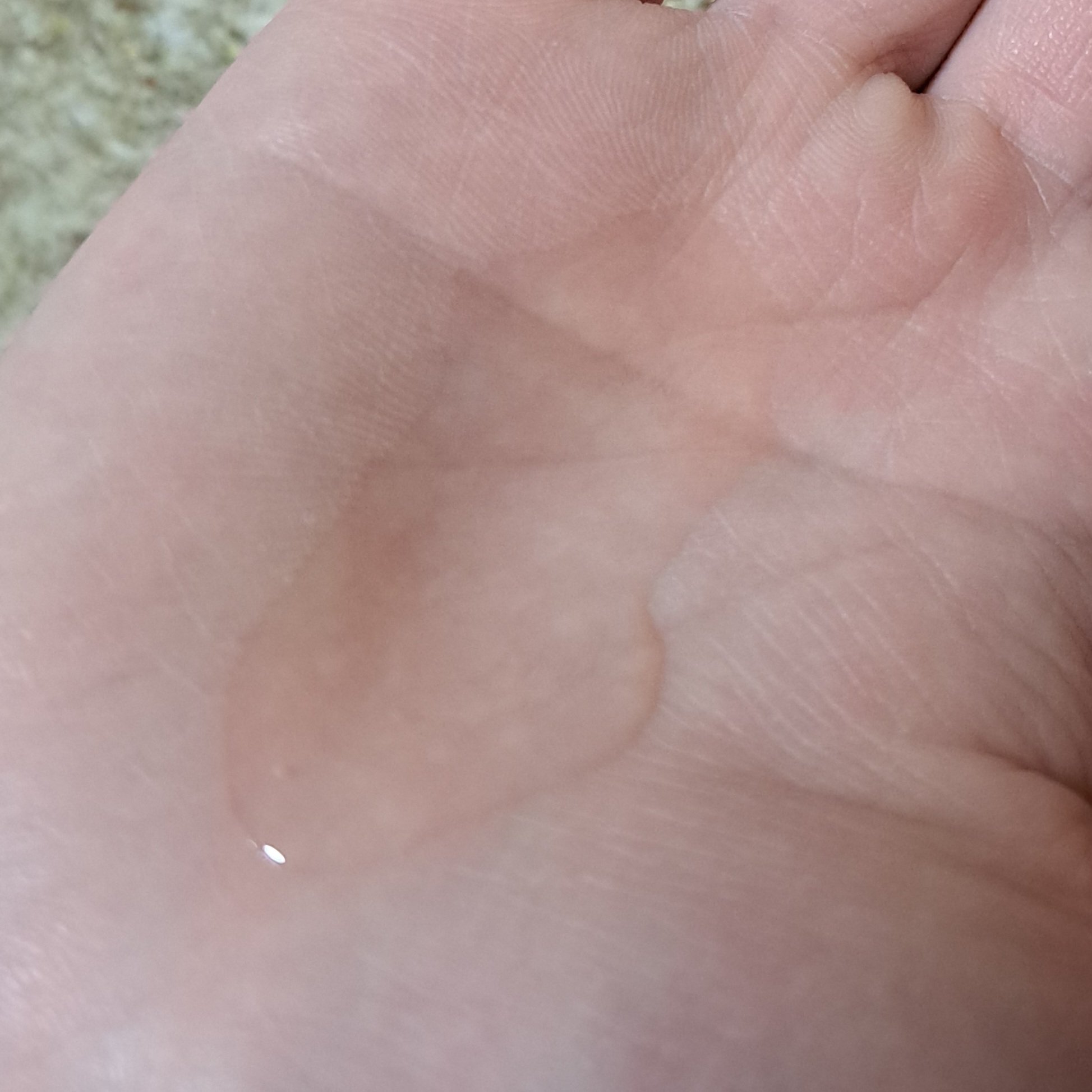 ディープダメージリペアー ヘアオイル/パンテーン/ヘアオイルを使ったクチコミ（2枚目）