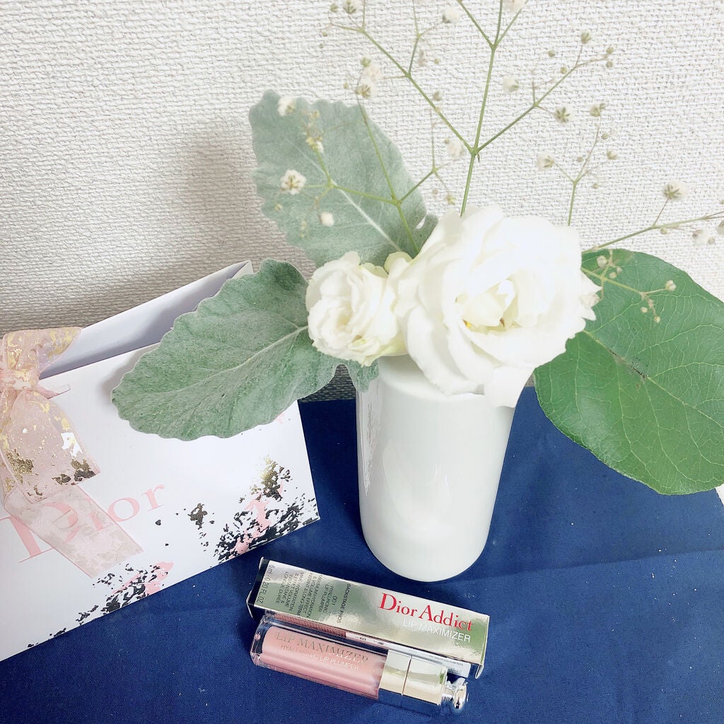 【旧】ディオール アディクト リップ マキシマイザー/Dior/リップグロスを使ったクチコミ(1枚目)
