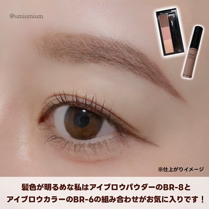 ヴィセ リシェ アイブロウパウダー/Visée/パウダーアイブロウを使ったクチコミ(7枚目)