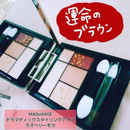 ドラマティックスタイリングアイズ/マキアージュ/アイシャドウパレットを使ったクチコミ(1枚目)