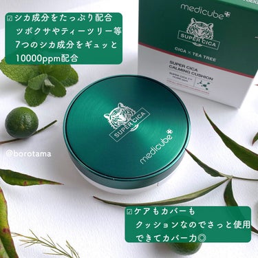 カバーパーフェクション チップコンシーラー/the SAEM/リキッドコンシーラーを使ったクチコミ（2枚目）