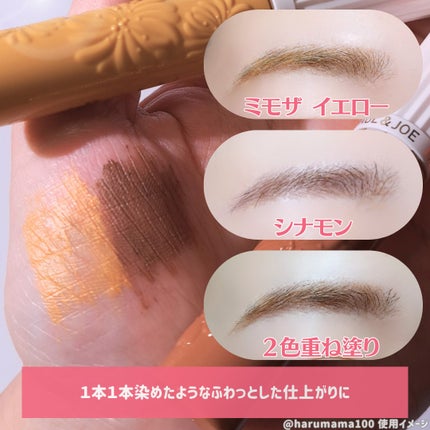 アイブロウ マスカラ/PAUL & JOE BEAUTE/眉マスカラを使ったクチコミ(3枚目)