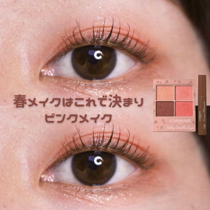 シルキースフレアイズ(マットタイプ)/キャンメイク/アイシャドウパレットを使ったクチコミ(1枚目)
