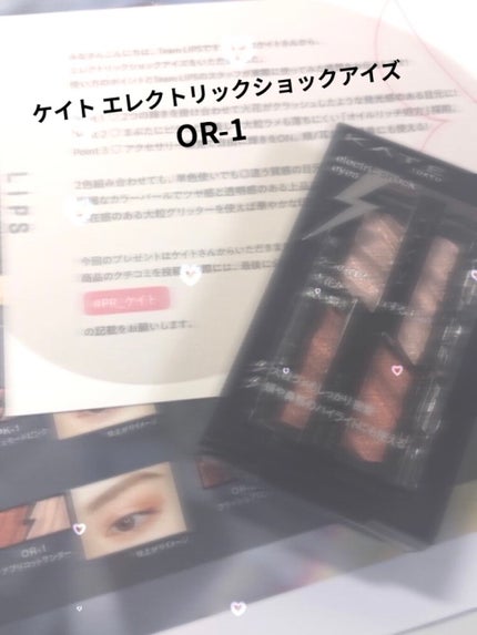 エレクトリックショックアイズ /KATE/アイシャドウパレットを使ったクチコミ(1枚目)