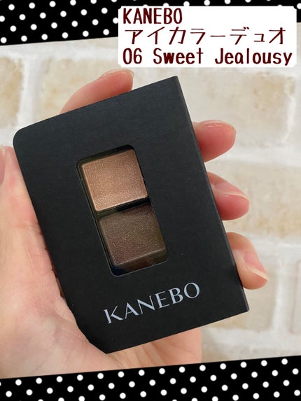 カネボウ アイカラーデュオ/KANEBO/アイシャドウパレットを使ったクチコミ(1枚目)