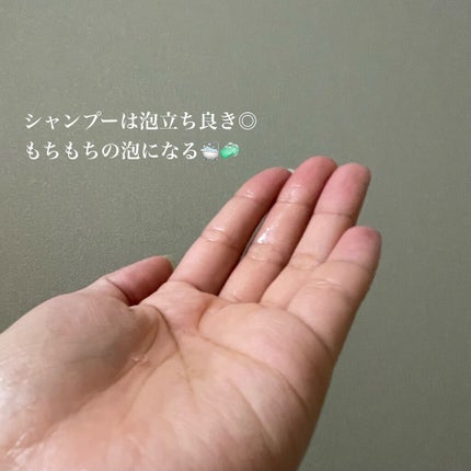 ピンクミー ウォーターコンク コントロール シャンプー/ヘアトリートメント/ululis/市販シャンプーを使ったクチコミ(5枚目)