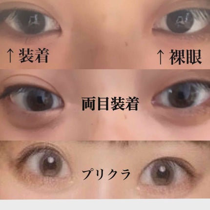 Angelcolor Bambi Series Vintage 1day/AngelColor/ワンデー(1DAY)カラコンを使ったクチコミ(2枚目)