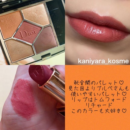 【旧】サンク クルール クチュール/Dior/アイシャドウパレットを使ったクチコミ(8枚目)