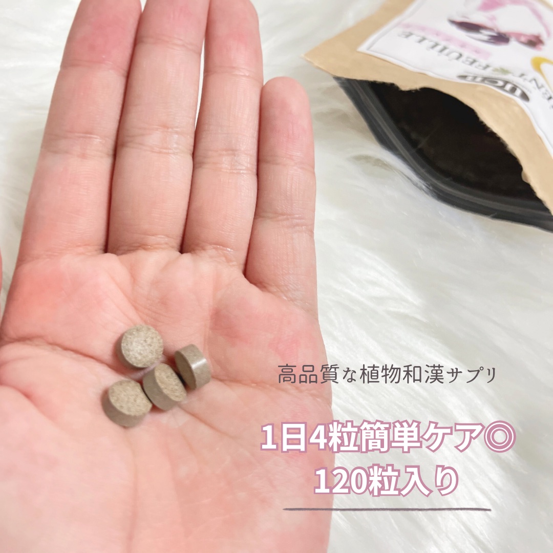 オリエントフイユ ルナブレンド/UCB/健康サプリメントを使ったクチコミ（2枚目）