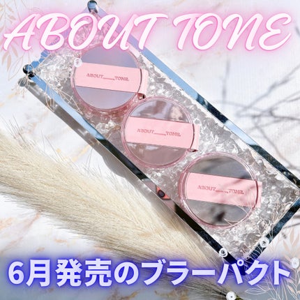 ザ・ブラーパウダーパクト/ABOUT TONE/プレストパウダーを使ったクチコミ(1枚目)