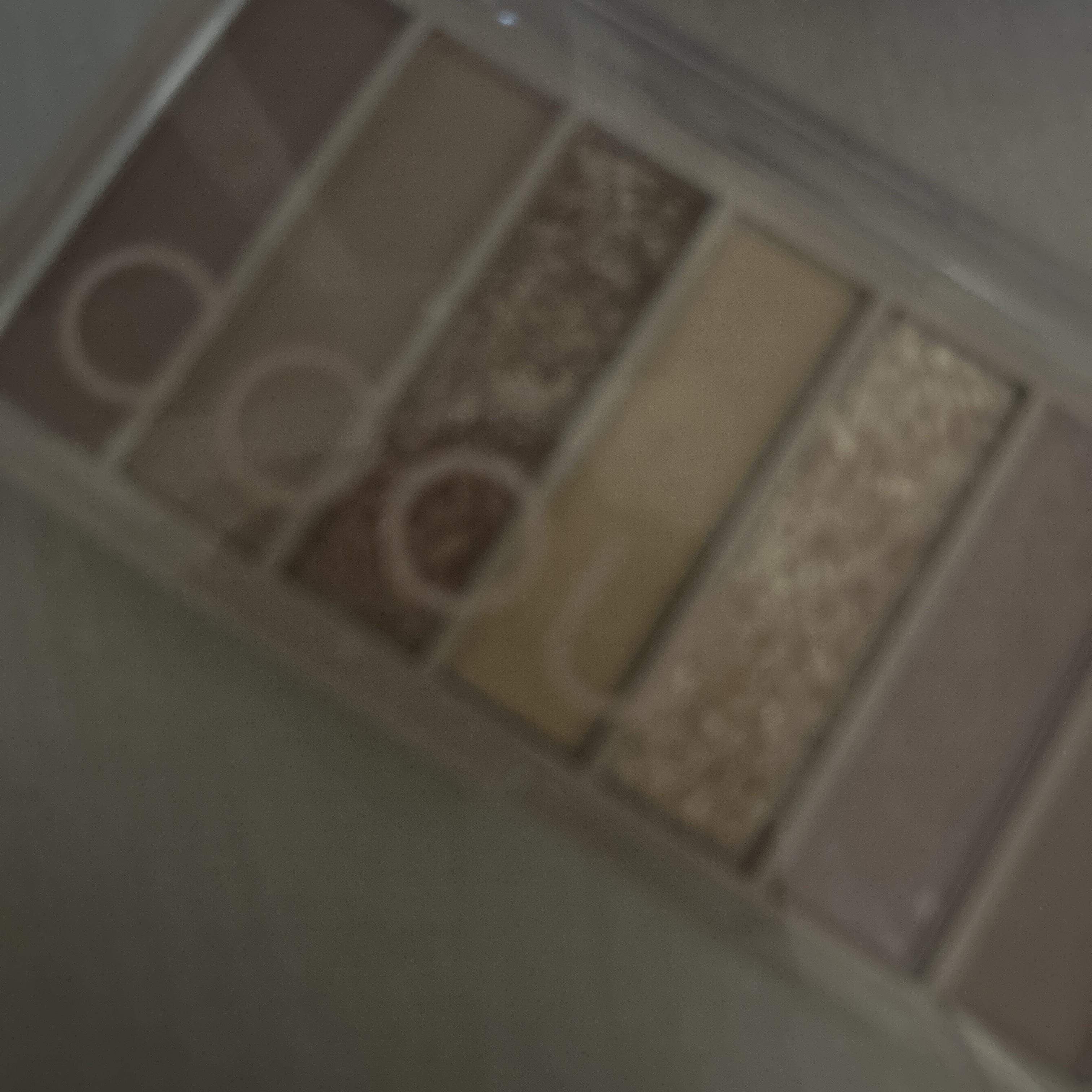 アイシャドウパレット/coou/アイシャドウパレットを使ったクチコミ（1枚目）