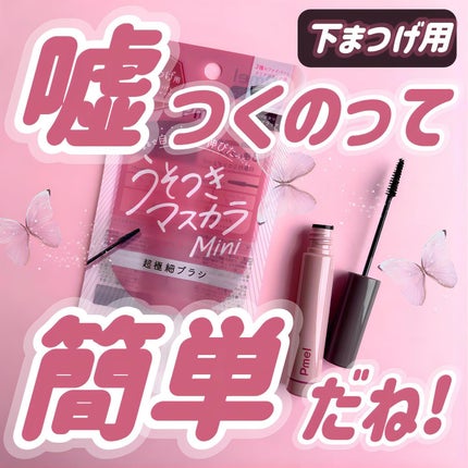 ピメル パーフェクトロング&カールマスカラ ミニ/pdc/マスカラを使ったクチコミ(1枚目)