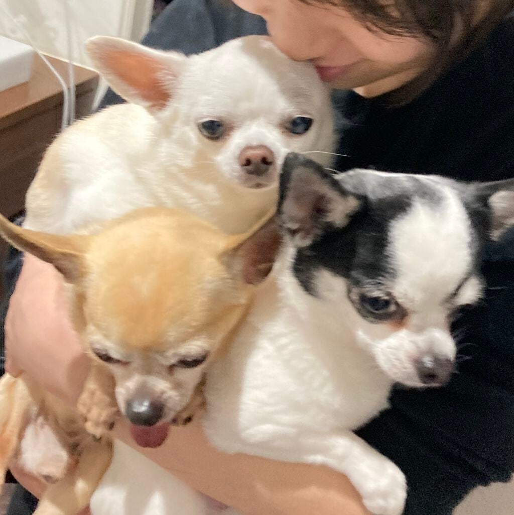 しに子ちゃん on LIPS 「近況。焼肉食べにいったら奢らされました。まあ…腹減ってないと言..」(4枚目)