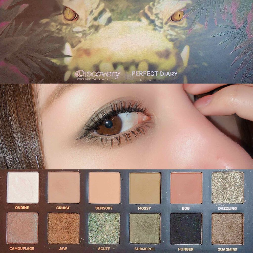 エクスプローラ12色 動物アイシャドウパレット/PERFECT DIARY/アイシャドウパレットを使ったクチコミ（1枚目）
