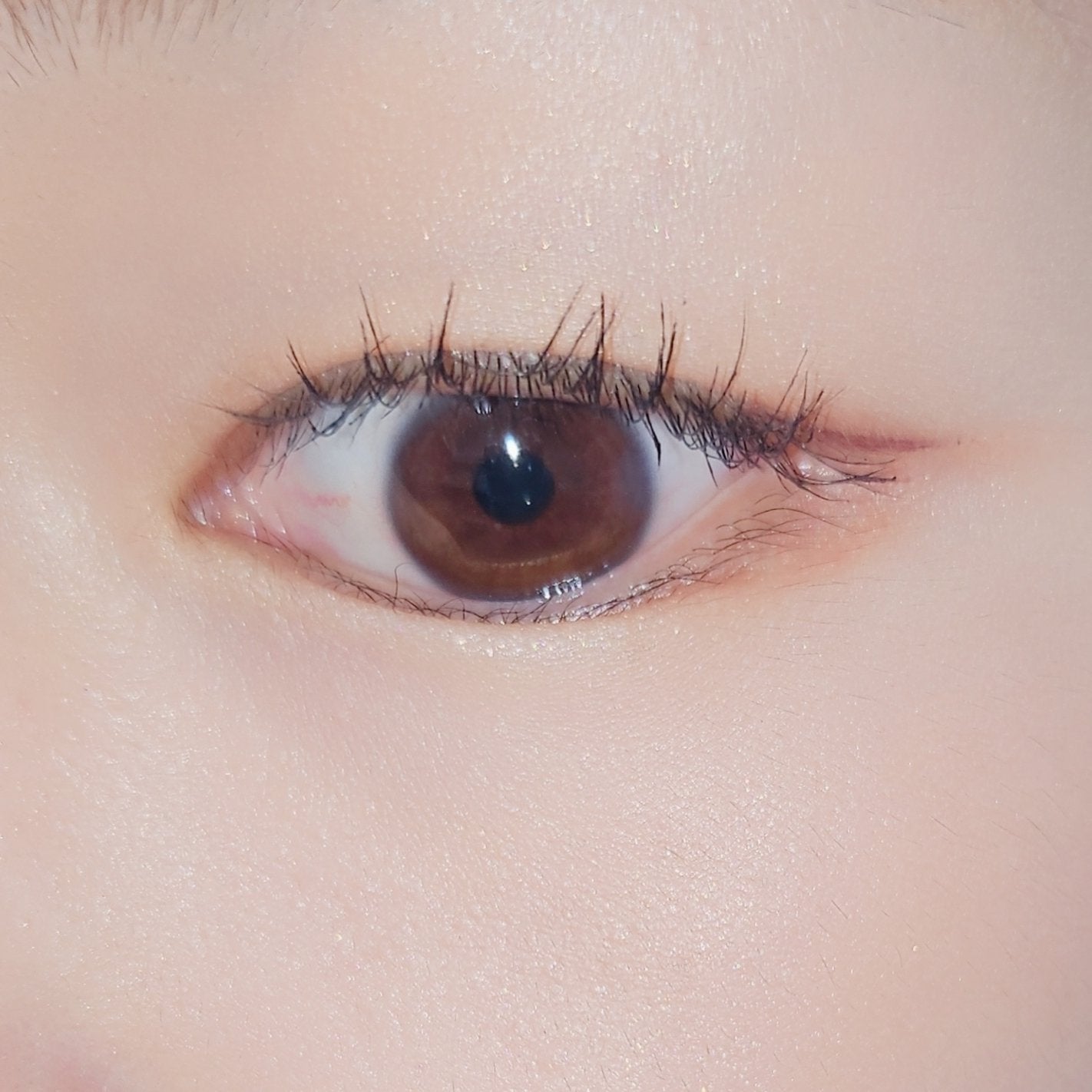 ãã€ããŒãªãããã¹ã«ã©/D-UP/ãã¹ã«ã©ã䜿ã£ãã¯ãã³ãïŒ5æç®ïŒ