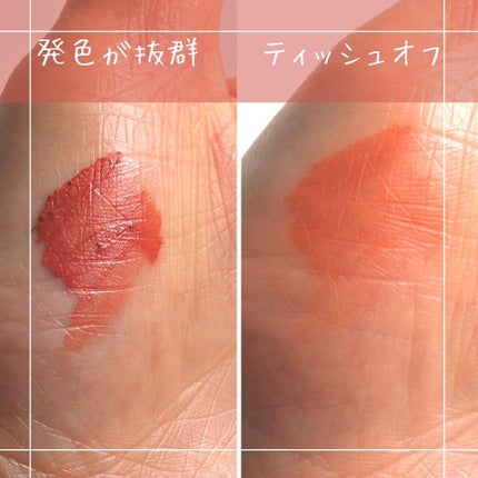 マイ ベスト ショット モイスター リップ ティント/TIRTIR(ティルティル)/リップティントを使ったクチコミ(3枚目)