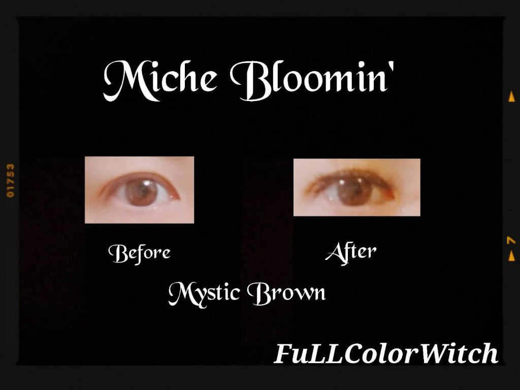 アイラッシュグルー/ミッシュブルーミン/つけまつげを使ったクチコミ（3枚目）