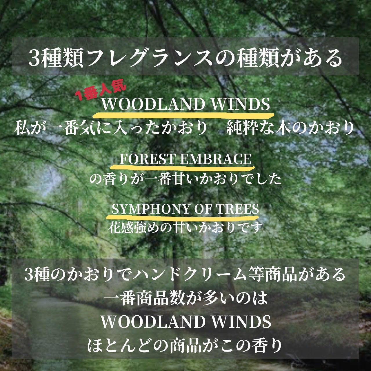 バウム オーデコロン 1 ウッドランド ウィンズ /BAUM/香水(メンズ)を使ったクチコミ(4枚目)