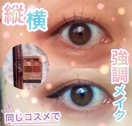 シルキースフレアイズ(マットタイプ)/キャンメイク/アイシャドウパレットを使ったクチコミ(1枚目)