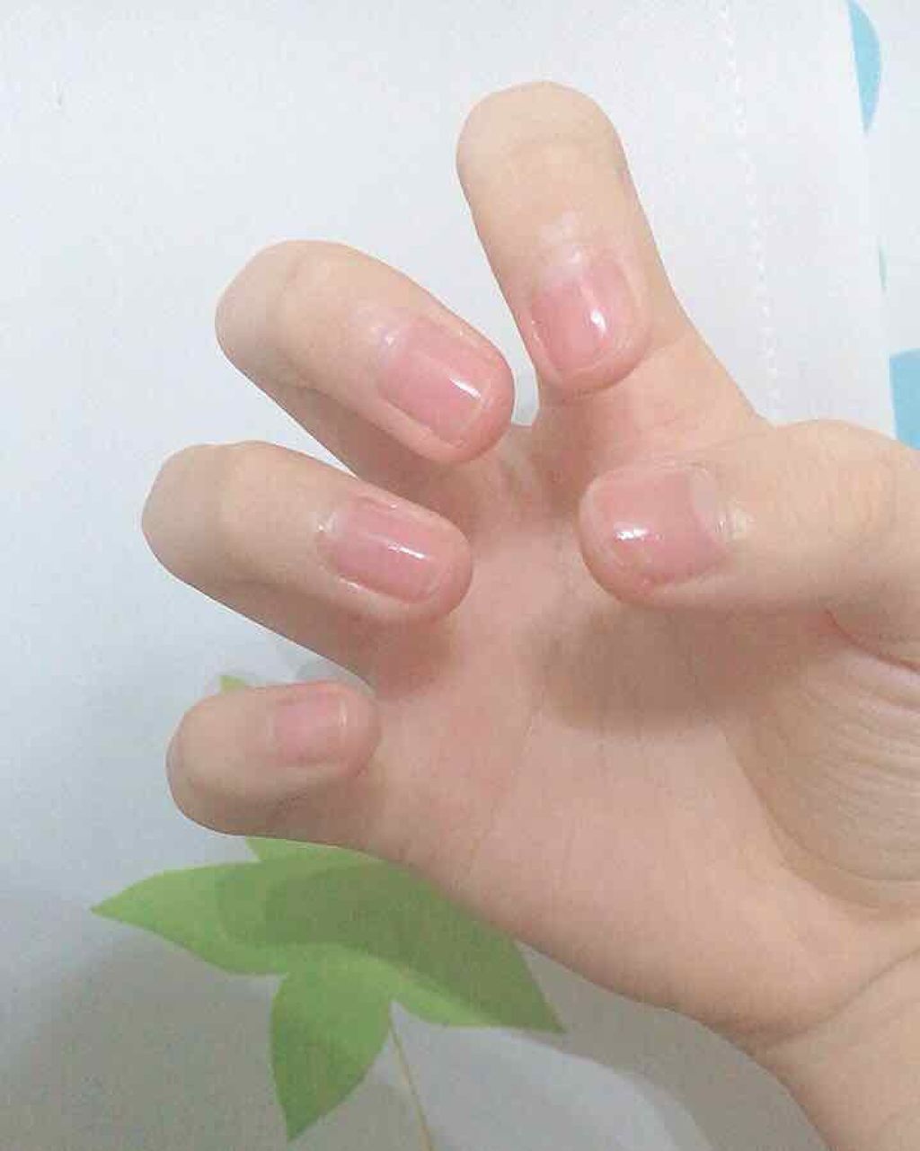 gene TOKYO ネイル/DAISO/マニキュアを使ったクチコミ（3枚目）