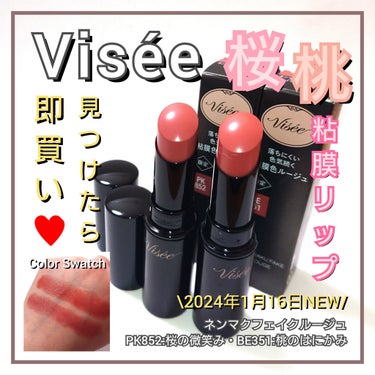 ネンマクフェイク ルージュ/Visée/口紅を使ったクチコミ（1枚目）