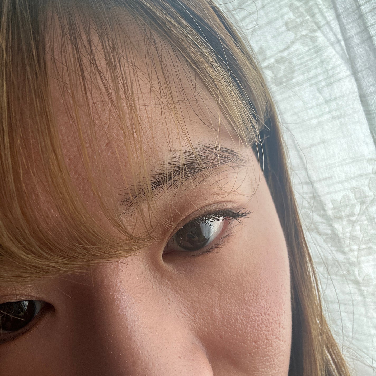 パーフェクトエクステンション マスカラ for カール/D-UP/マスカラを使ったクチコミ(1枚目)