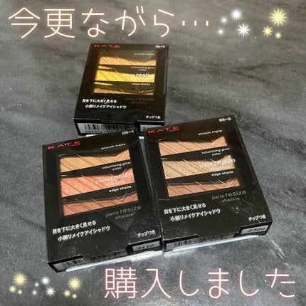 パーツリサイズシャドウ/KATE/アイシャドウパレットを使ったクチコミ(1枚目)