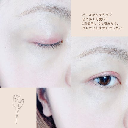 アイムスティックシャドウシマー/i’m meme/スティックアイシャドウを使ったクチコミ(6枚目)