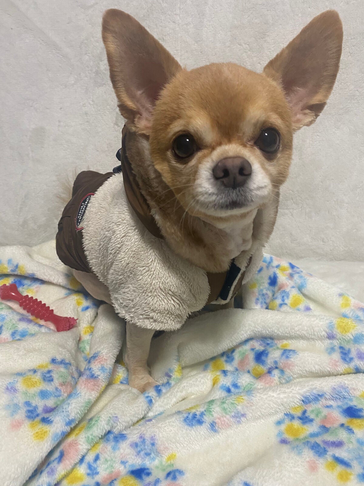 カラフルネイルズ/キャンメイク/マニキュアを使ったクチコミ(5枚目)