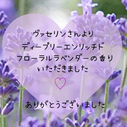 ディープリーエンリッチド ボディローション フローラルラベンダーの香り/ヴァセリン/ボディローションを使ったクチコミ(4枚目)