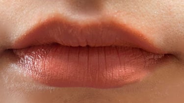 カラーセンセーショナル リップスティック C MNU 11/MAYBELLINE NEW YORK/口紅の画像