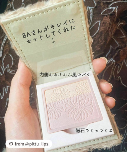 プレスト ブラッシュ/PAUL & JOE BEAUTE/パウダーチークを使ったクチコミ(6枚目)