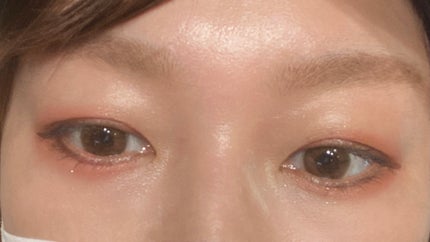シルキースフレアイズ(マットタイプ)/キャンメイク/アイシャドウパレットを使ったクチコミ(4枚目)