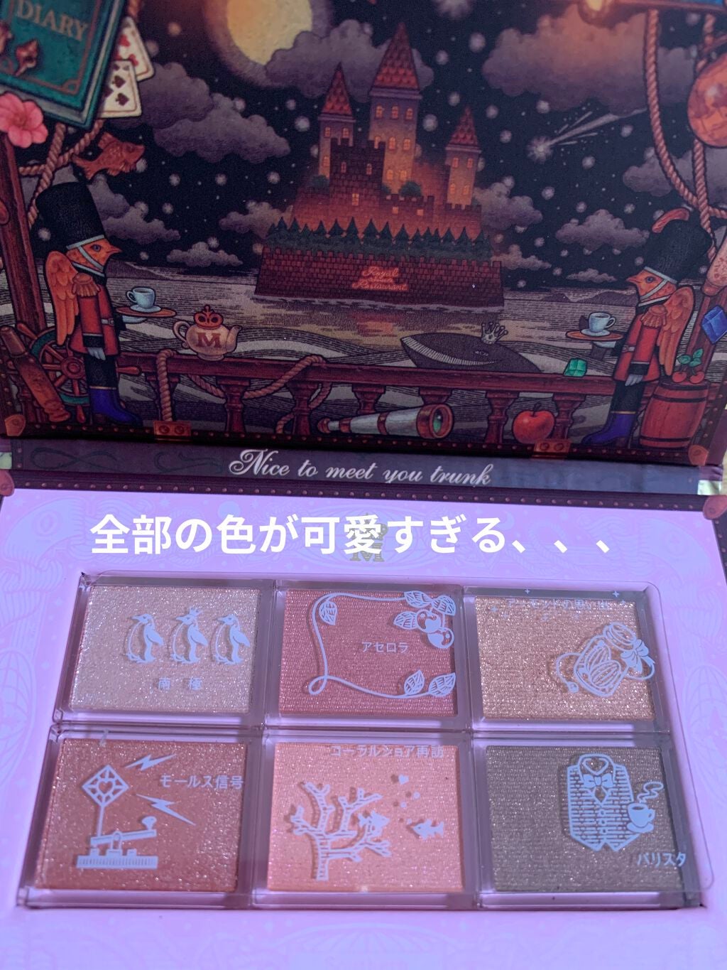 ナイストゥミーチュートランク/MAJOLICA MAJORCA/アイシャドウパレットを使ったクチコミ(2枚目)