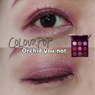 ORCHID you  not/ColourPop/アイシャドウパレットを使ったクチコミ（1枚目）