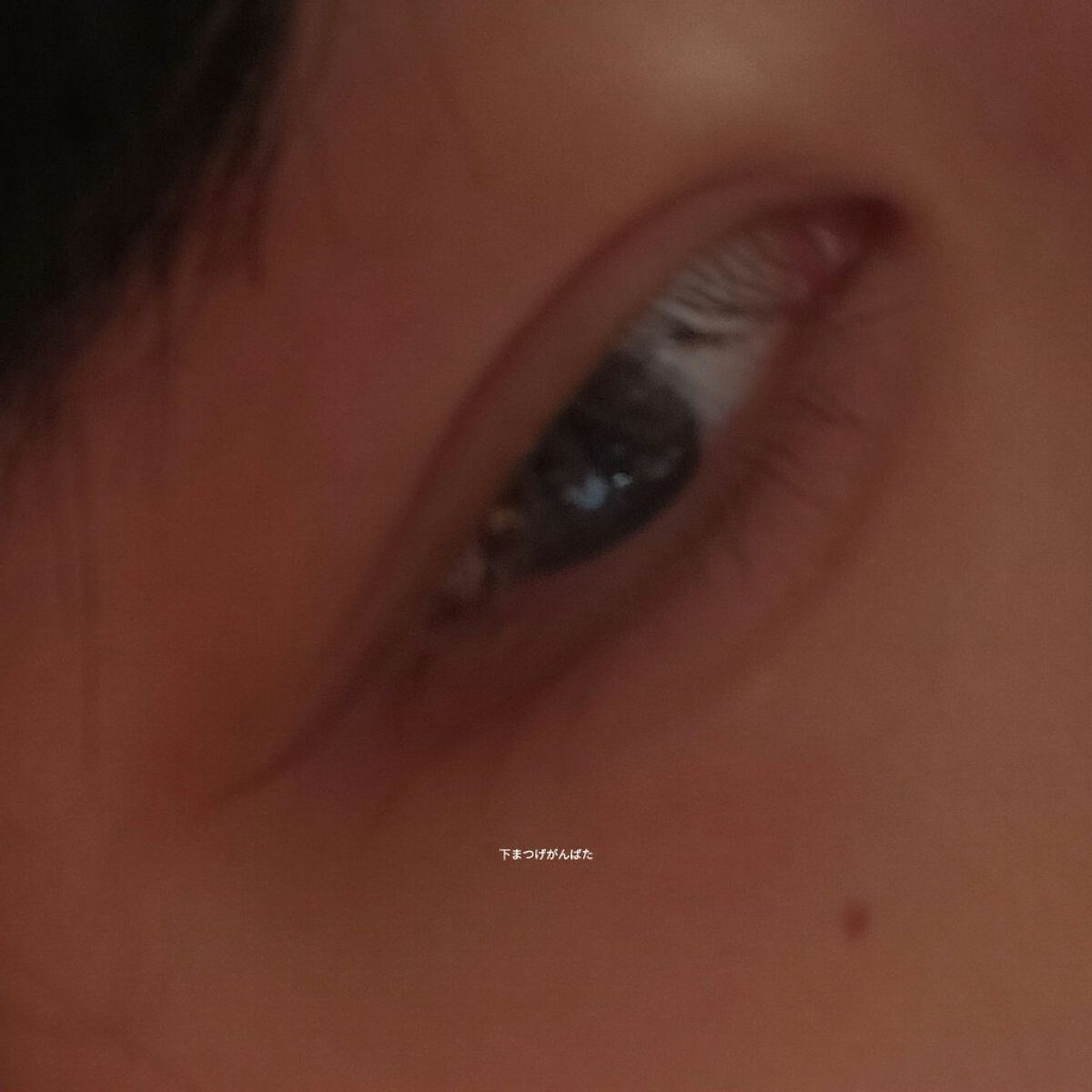 プロ アイ パレット/CLIO/アイシャドウパレットを使ったクチコミ（1枚目）