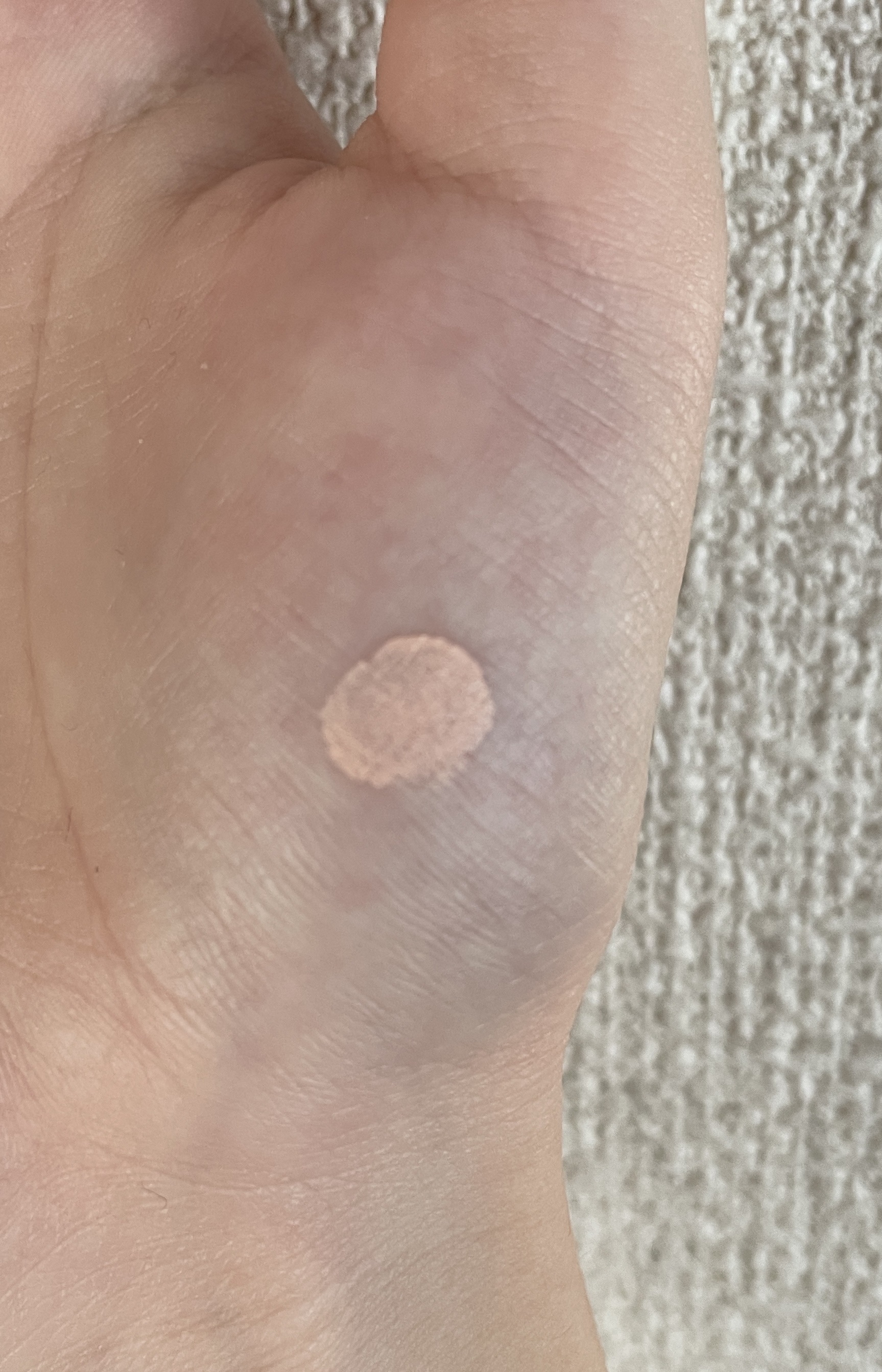 ロングラスティングチップコンシーラー 03 ブライト/LUNA/リキッドコンシーラーを使ったクチコミ（2枚目）