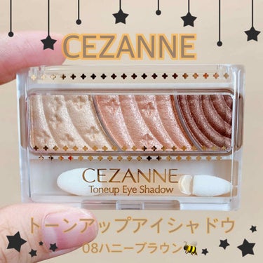 トーンアップアイシャドウ/CEZANNE/アイシャドウパレットを使ったクチコミ（1枚目）