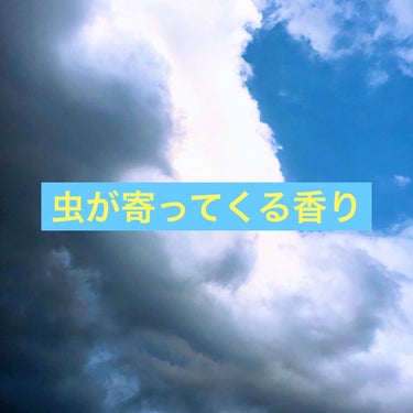 夏輝@改名 on LIPS 「虫にも人気！フレグランス！キャンパスで蚊に刺されてオコです😭ム..」（1枚目）