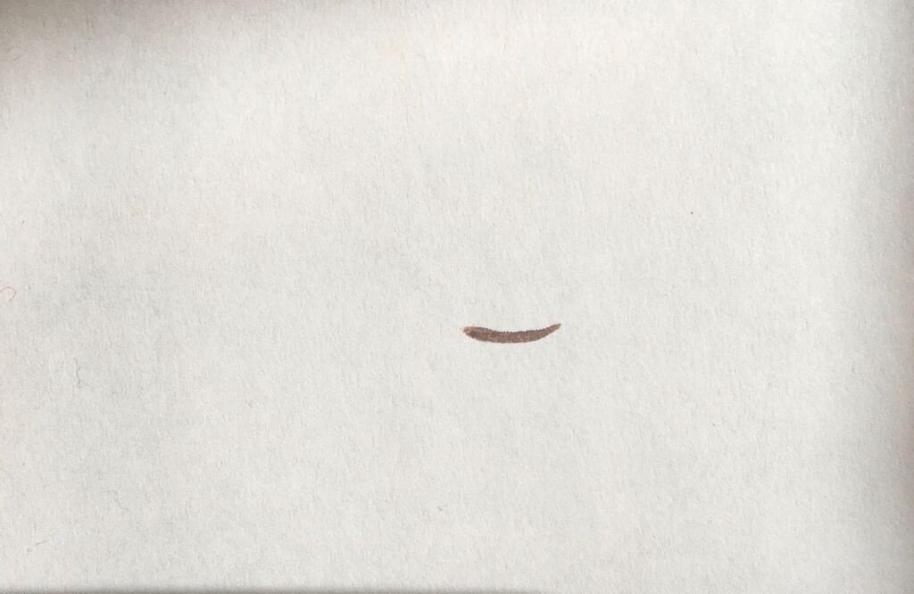 シルキーリキッドアイライナーWP/D-UP/リキッドアイライナーを使ったクチコミ(2枚目)