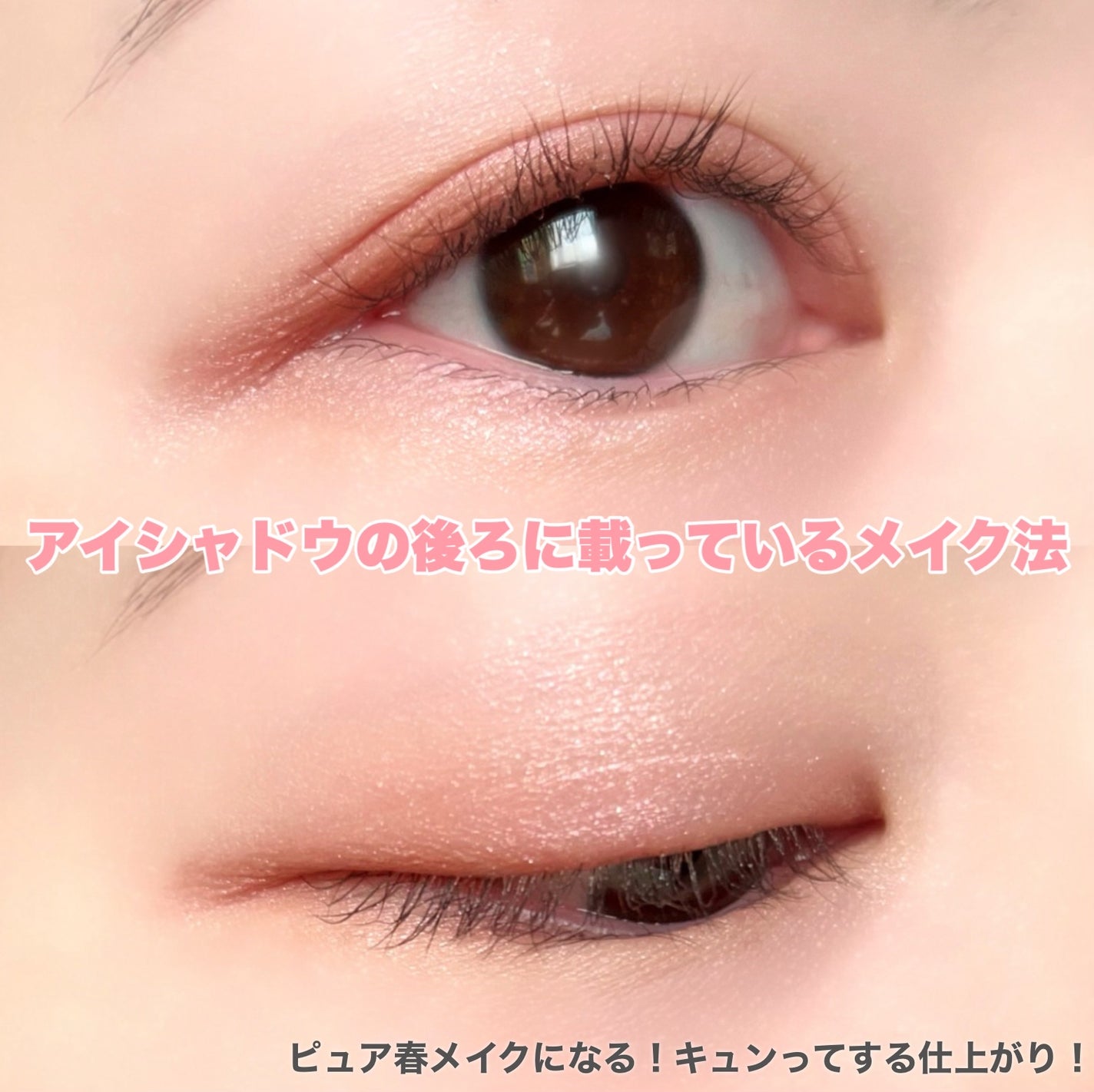 ベージュトーンアイシャドウ/CEZANNE/アイシャドウパレットを使ったクチコミ(5枚目)