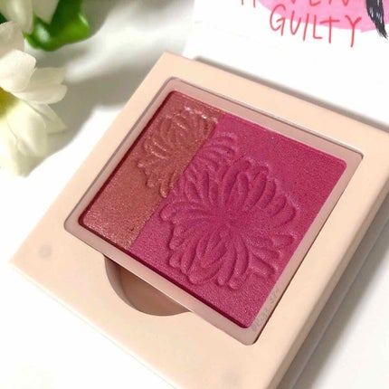 パウダー ブラッシュ/PAUL & JOE BEAUTE/パウダーチークを使ったクチコミ(3枚目)